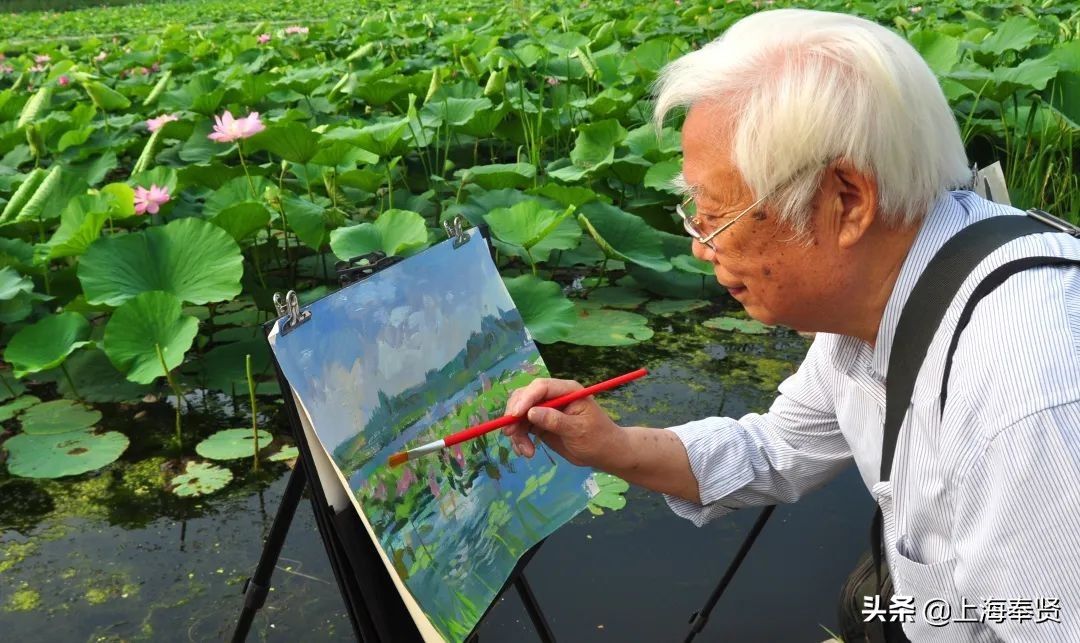 马鞭草|月月有花看，季季有花开！这个“花的世界”惊艳你的一年四季！