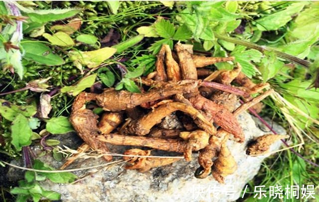 抗癌王|医生揭秘“抗癌王”被发现,大蒜花菜靠边站,患者不妨多吃点