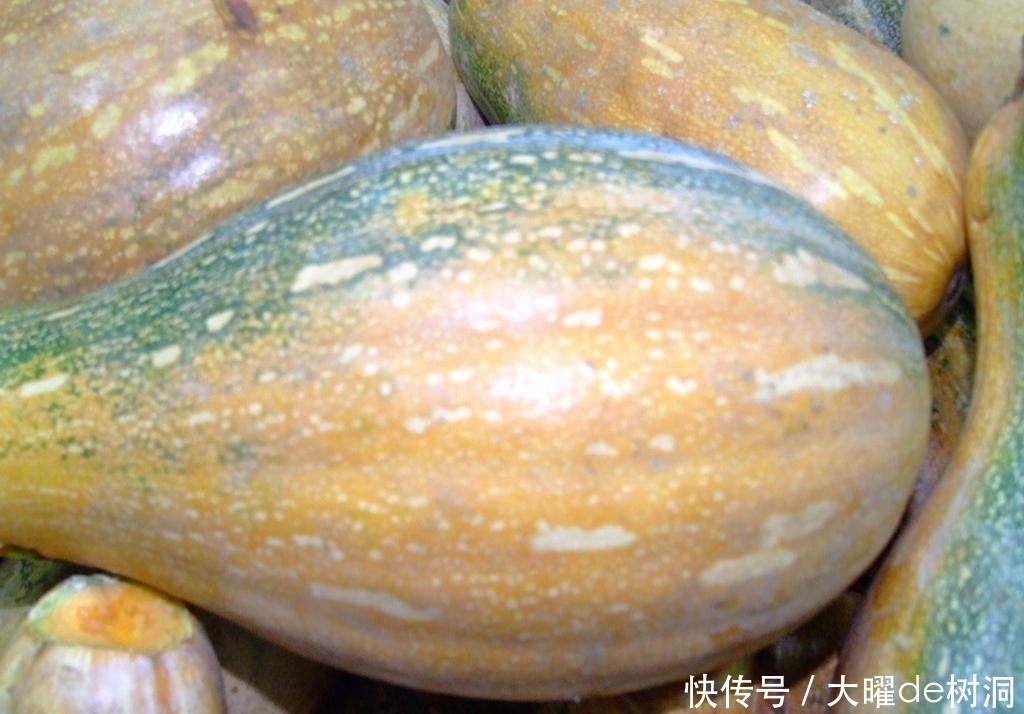 立冬后,常吃南瓜好处多,但切忌与一物同食,