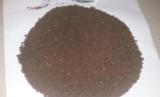 用生根水、淘米水养花，都赢不了这种“万能水”，养啥旺啥