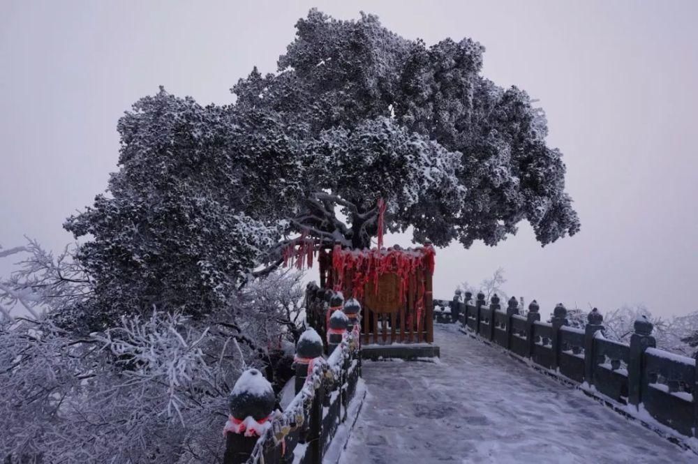 风雪|风雪武当山，仙境藏玄机！大雪封山时，道人、隐士都在干什么！