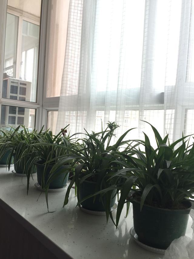 玄关|等我买房也这么装,床头两侧装柜子,中间掏空连床头柜都省了!