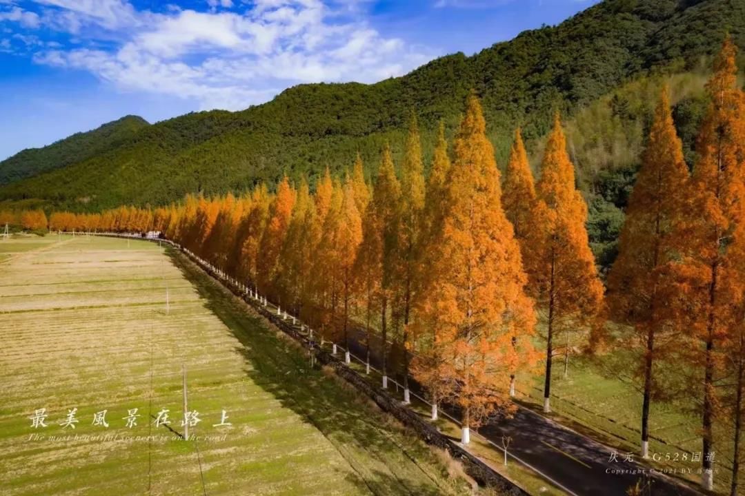 庆元|深秋初冬庆元最值得一去的旅行地，一入秋就美成了仙境