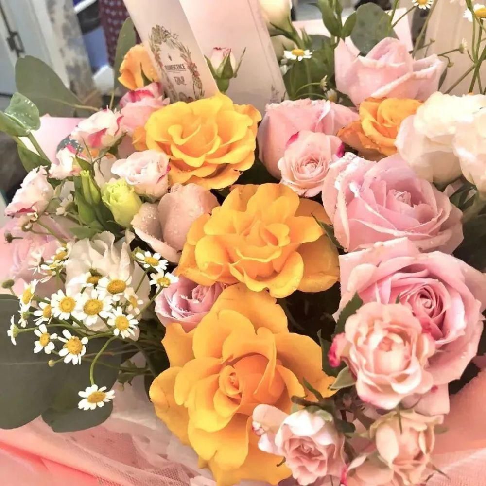 用一句诗词总结你的2020，你会想到哪句？