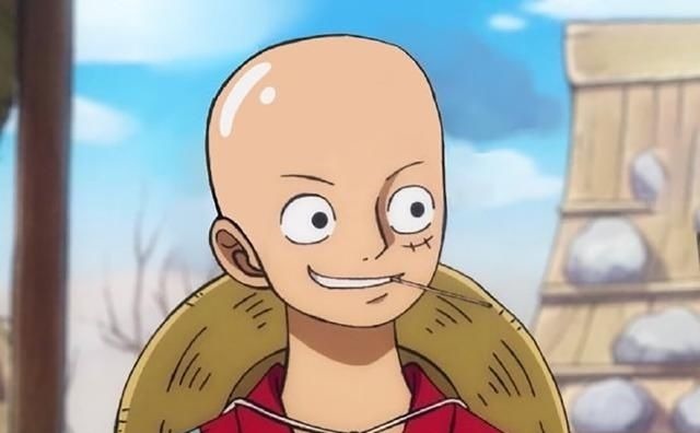 光头|《海贼王》草帽团被全员剃光头,娜美不再女神,布鲁克毫无违和感