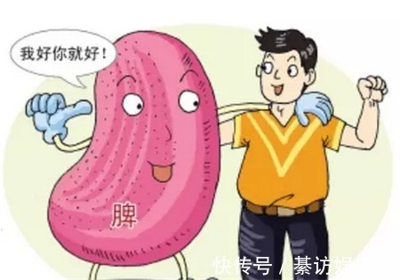 主受纳|一篇你从未见过,把补脾知识全讲明白的文章!懂养生的人都收藏了