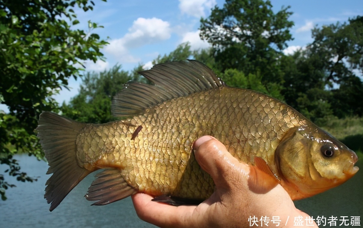 春季钓鱼注意这两点,多种技巧相结合,收获才能更多——盛世三渔