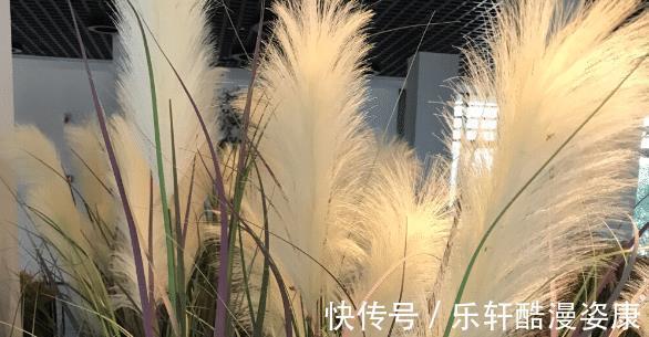 金牛座|思维灵活,想法犀利,这三个星座的人终将会暴富,擅长闷声发大财