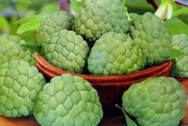 养宫护宫|对身体极好的3种食物,排毒养颜、延缓衰老,早吃早健康!