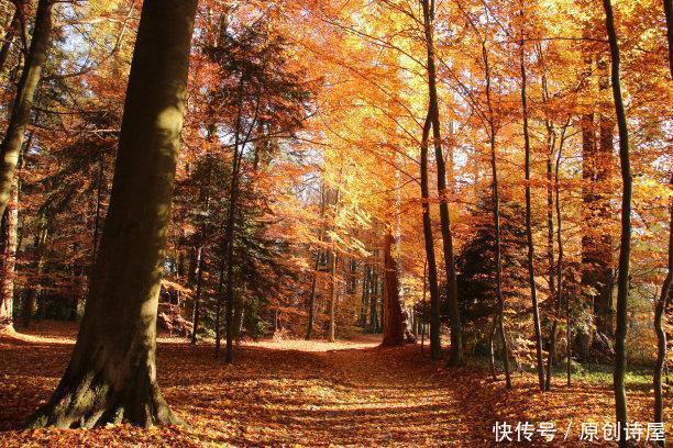 何拦伟的诗|名家推荐| 何拦伟