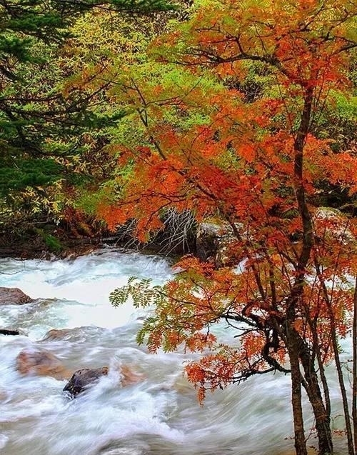 中老年人|50岁以后，不要自作多情