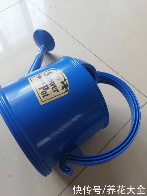 神器|养花需要的5件神器，别看它们小，用处是真不少