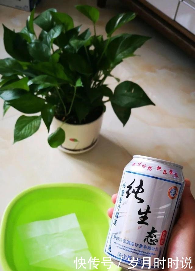 它是天然叶面肥,一擦一喷,叶子比打了蜡还亮!