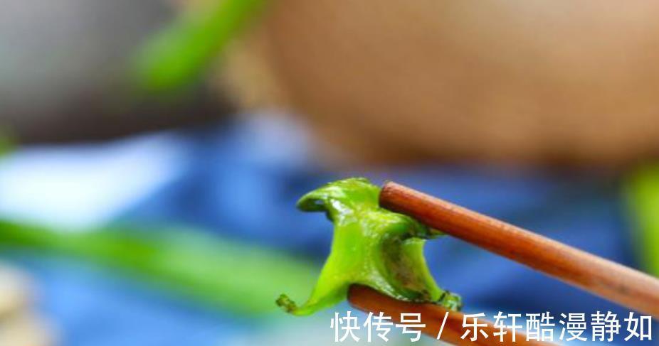 脆嫩|入秋后，这蔬菜碰见别手软，好吃还不贵，清肠刮油，脆嫩又解馋
