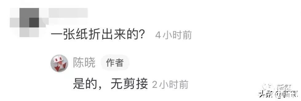 白纸#陈晓得了折纸界奥斯卡大奖，这也太绝了吧