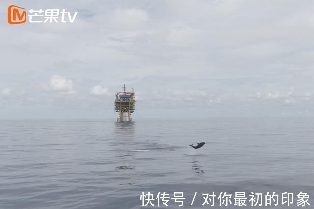 大熊猫|芒果TV《微光者》高燃收官！走最难的路，见最可爱的人｜导演手记