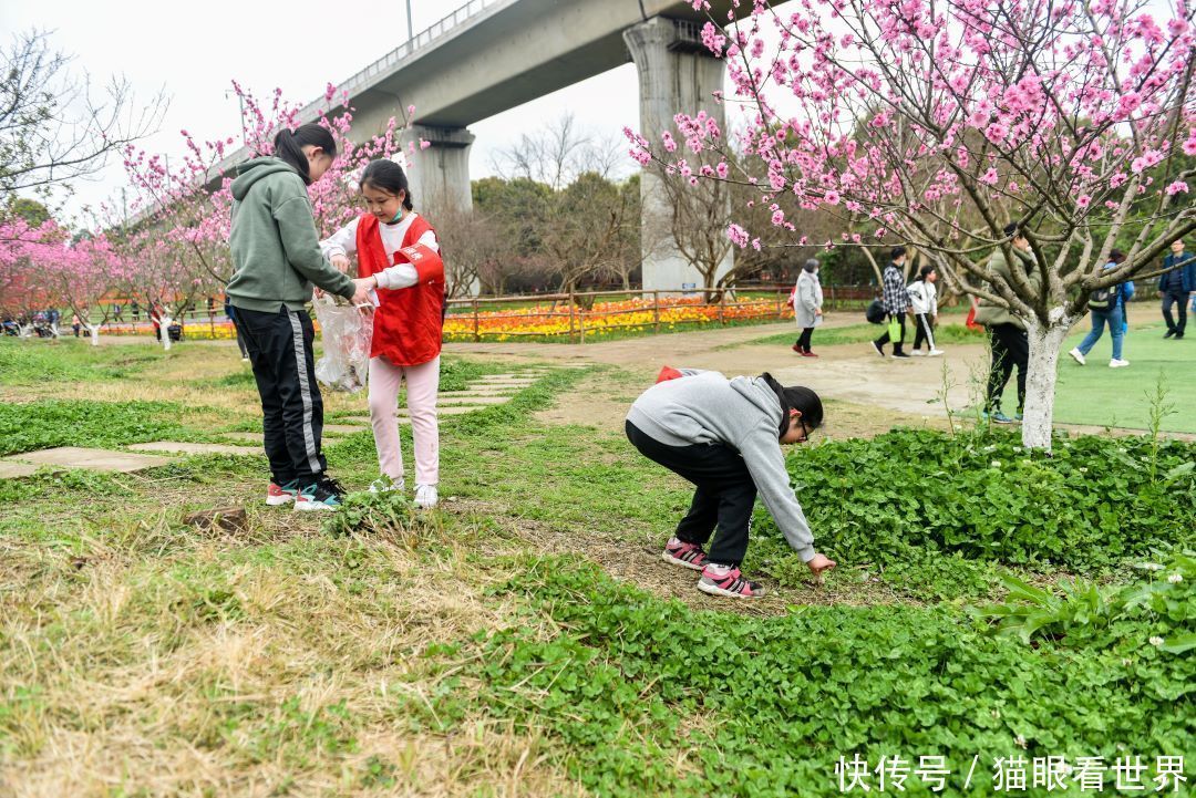 让美景常驻 文明你我他 秀丽东方小小巡查员成景区最亮眼风景线