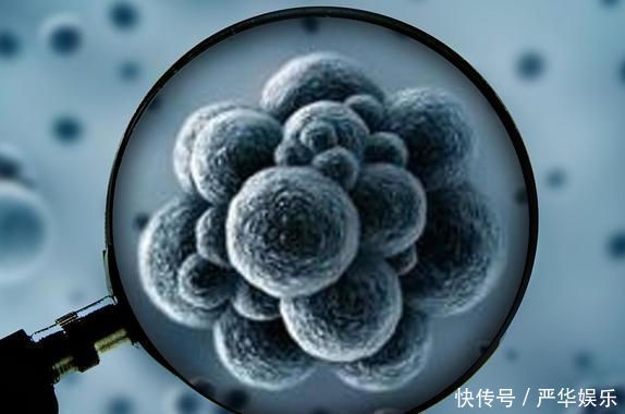 中医治疗|中医治疗癌症有利也有弊，牢记这5点，不要乱吃中药