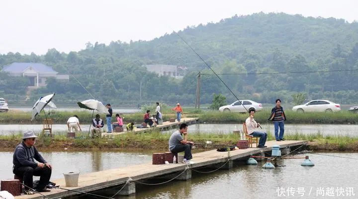 到了三伏天，我就只在这3个钓点下竿，气温再高也能接连上鱼