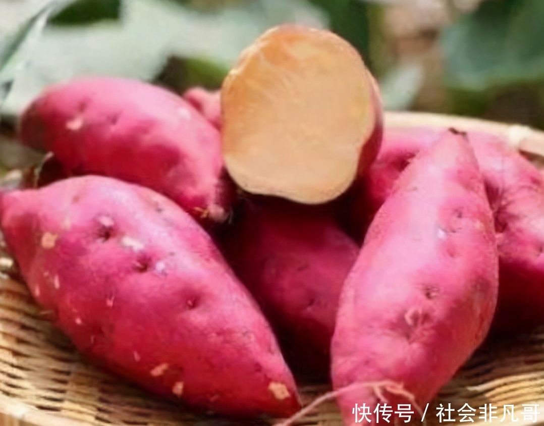 延缓|对身体很好的3种食物,排毒养颜、延缓衰老,早吃早健康