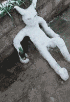 |搞笑GIF趣图:让你嘚瑟,我打的就是你!