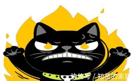 |幽默笑话:老婆从小娇生惯养非常任性,一言不合就要跟俺闹离婚