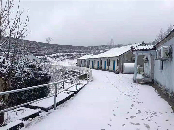 山区|象山又下雪了！山区雪景虽美路难行，非必要不上~