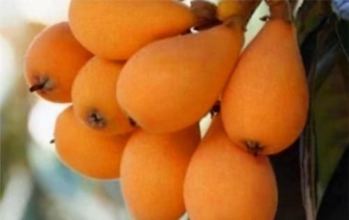 延缓衰老|每天晚上坚持吃3种食物,排毒养颜,延缓衰老,有益健康!