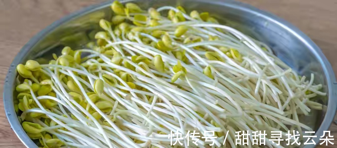 小白|想吃豆芽不用买，教你自己在家做，做法简单，随吃随取特方便！