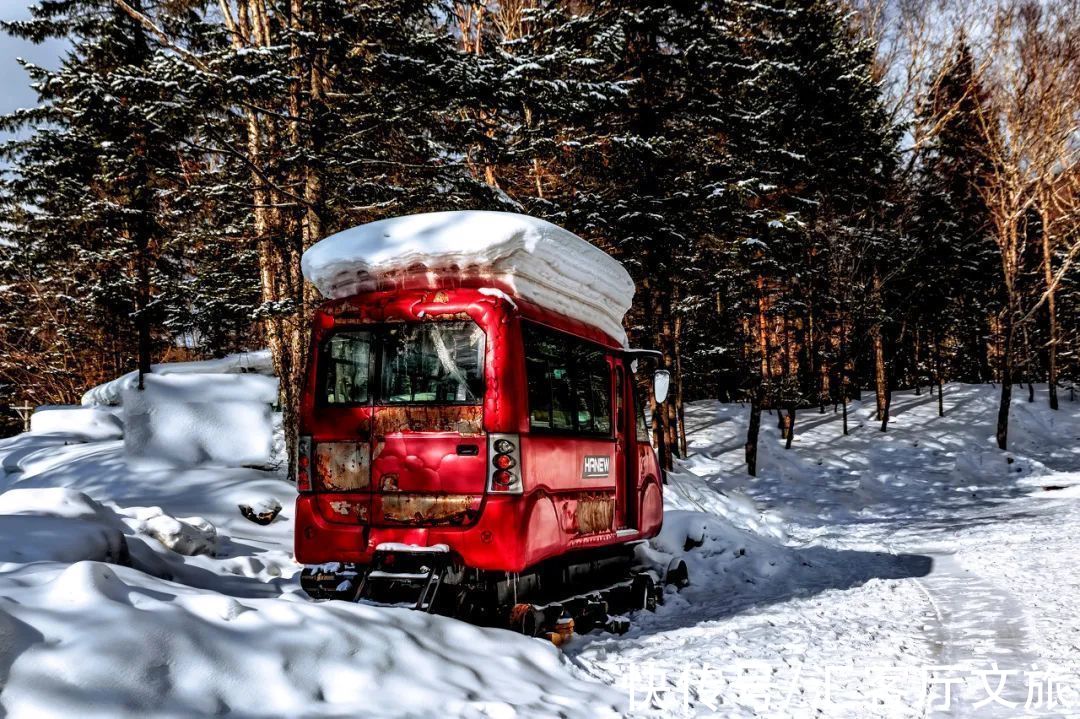 哈尔滨|这才是跟冬天最配的自驾线，沿途雪景美成童话，错过再等一年