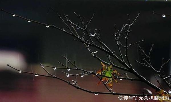 宋词!宋词里的“一场秋雨”,淅淅沥沥已下了千年,湿了岁月也湿了眼眶