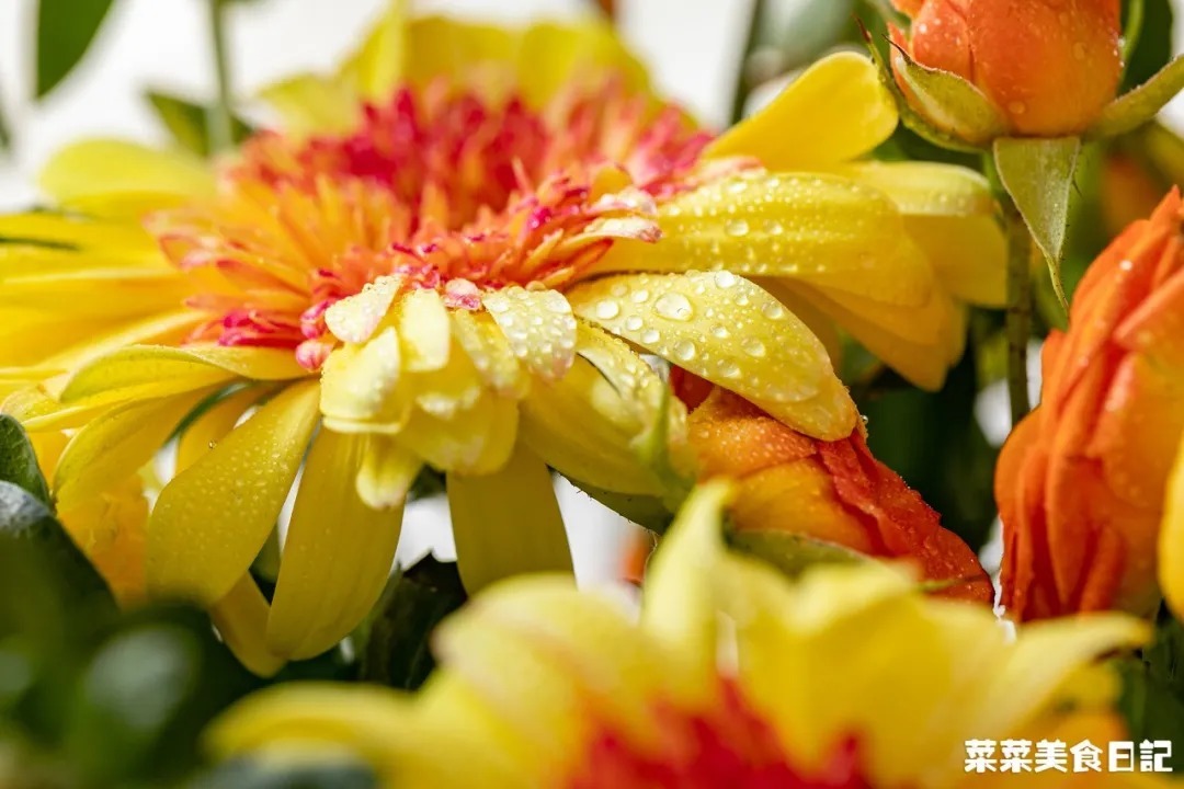 培根|懒人最爱!1块钱的手抓饼,换个做法秒变M记早餐!