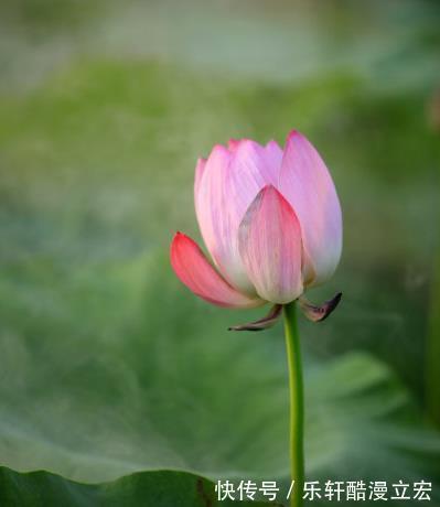 机遇|八月一日开始，4属相财运连旺，抓住机遇，万事随心顺意