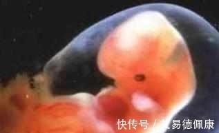 爷爷奶奶|3岁宝宝神志不清, 流口水离世, 医生的话爷爷奶奶不接受