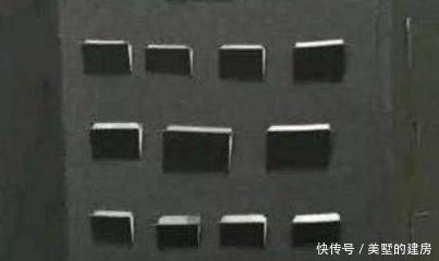 几百个多肉叶片咋扦插?一张纸就插出上百棵多肉