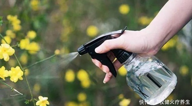 肥料|浇水时加点小东西，植物用了呼呼长，连肥料都省了！