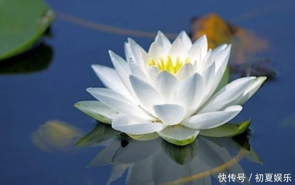 哀怨|这些短句与你分享：豁达一点，对生活少一点哀怨，多一点喜悦