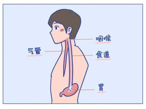 把痰咽回去，会不会对身体不好啊？