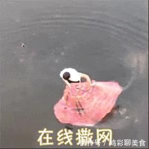 南极人 我终于找到出门会被搭讪的光腿神器了!