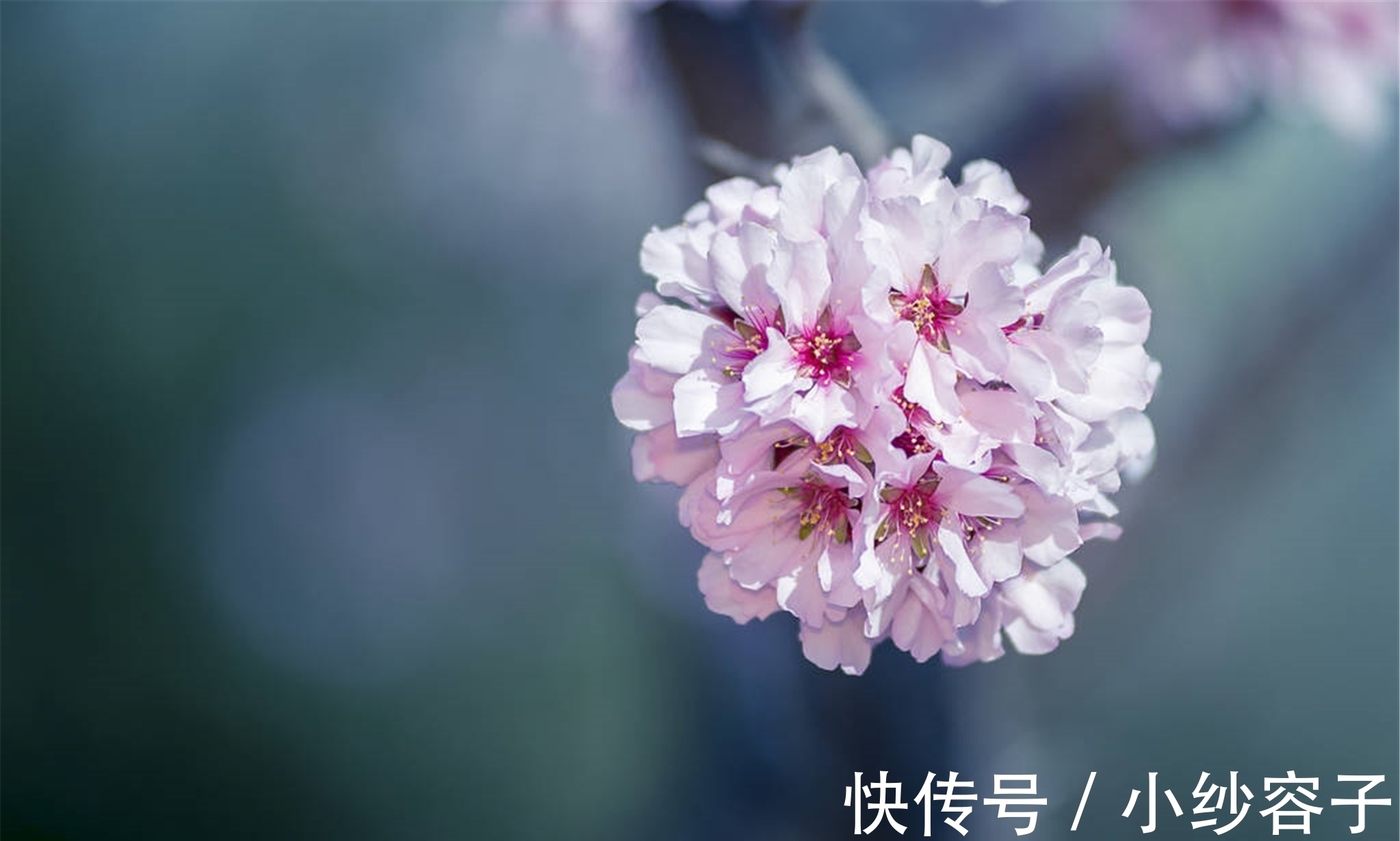 今夜月明！一首凄美的唐诗，道尽了人生苦味，后两句尤其经典