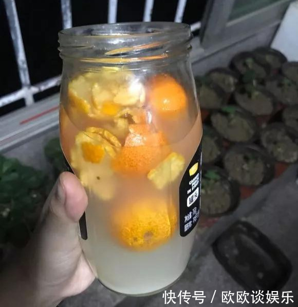 茶叶水、淘米水,多做1步浇花,肥效超高,养花特好