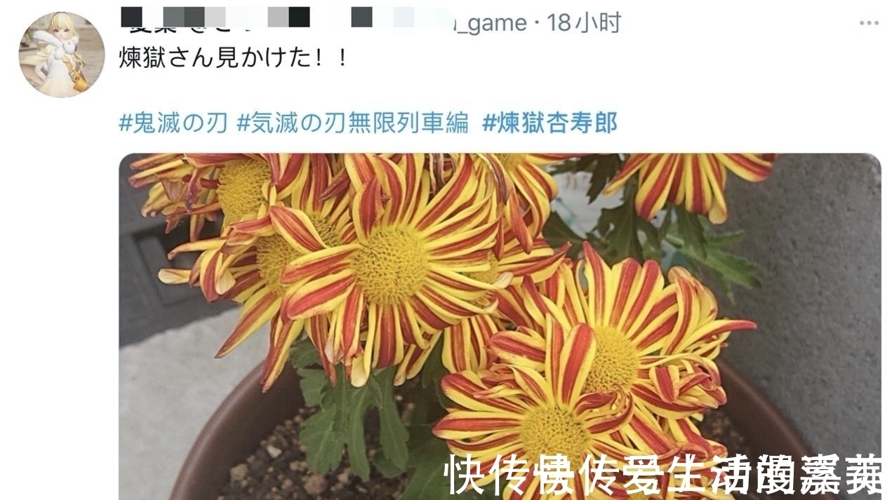 cos|日本全民都在cos鬼灭之刃!木村拓哉也加入?这个炎柱太像了