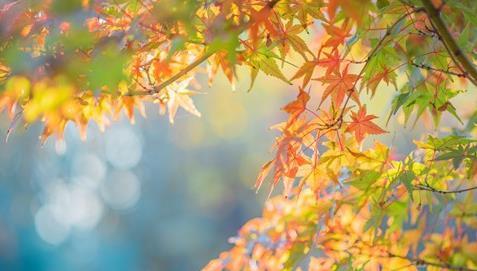 说法|下午立秋有什么说法？2021年立秋时间是早还是晚？附立秋准确时间