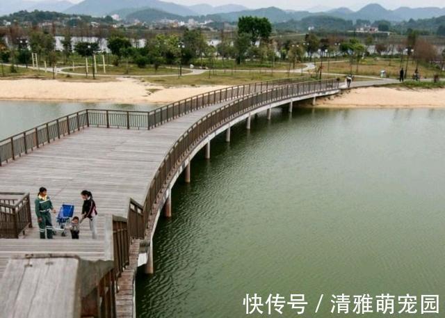 鱼虾|害鱼?广州增江1米多长的“水老虎”被钓起,老乡:专吃鱼虾