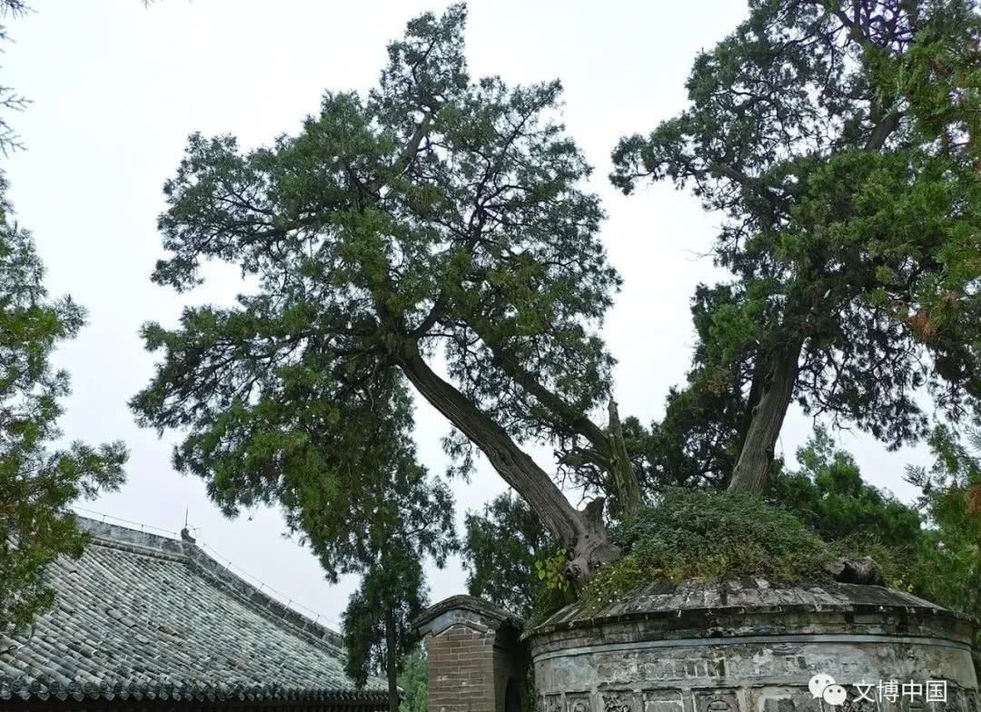 耿朔：陟彼高冈 瞻其遗风——司马迁墓祠访古