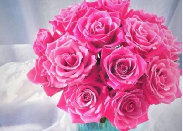 喜欢玫瑰,不如养盆“稀有玫瑰”泰姬,如佳人飞舞,雍容典雅