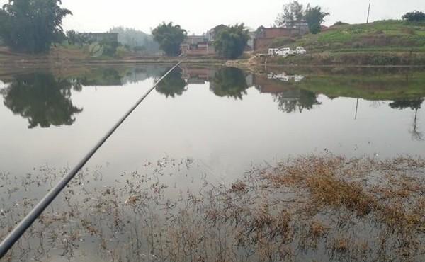 冬季钓鲫鱼,不宜选择这5类钓点,这些位置冬季没鱼