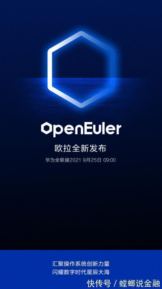 服务器|不符合这五条“金标准”的欧拉,不会是华为的备胎