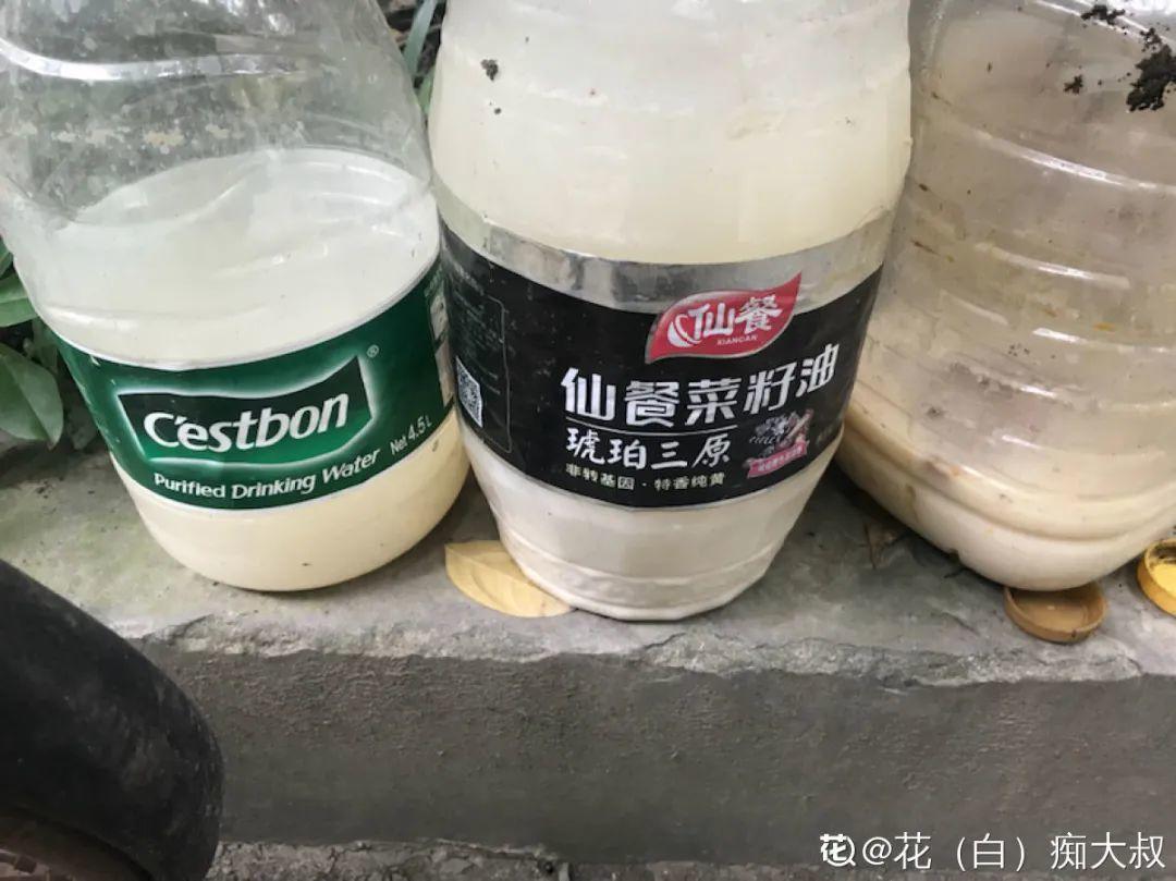 4种养花夺命水,秋天不要浇,一浇花就死!