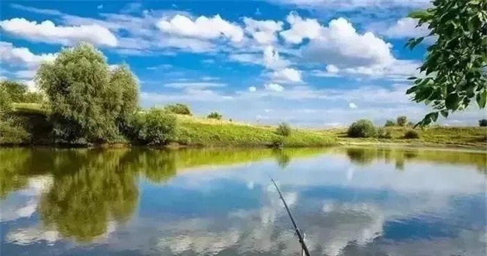 秋钓鲤鱼这4招，再配上自制饵料，“空军”拜拜了您呐！